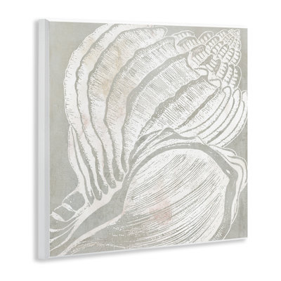 «Beige Conch» par Carol Robinson