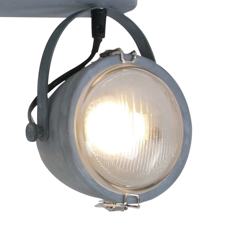 Roark Ceiling Spotlight
