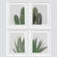 Green Cactus Snake Plant, reproduction encadrée de 4 pièces-90605215-90605219
