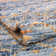 Aalam Abstract Indoor Rug