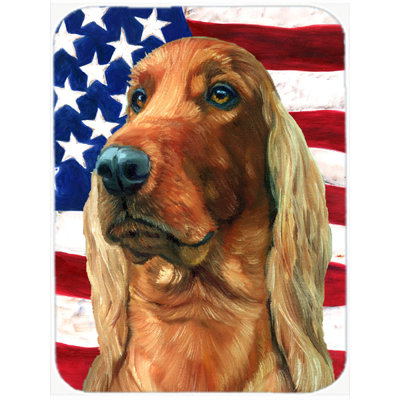Planche à découper en verre American Flag