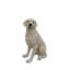 Statue de chien Labrador d'extérieur