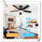 Museau Ceiling Fan with LED Lights-1680007390