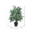 48'' Faux Tree in Wicker/Rattan Basket