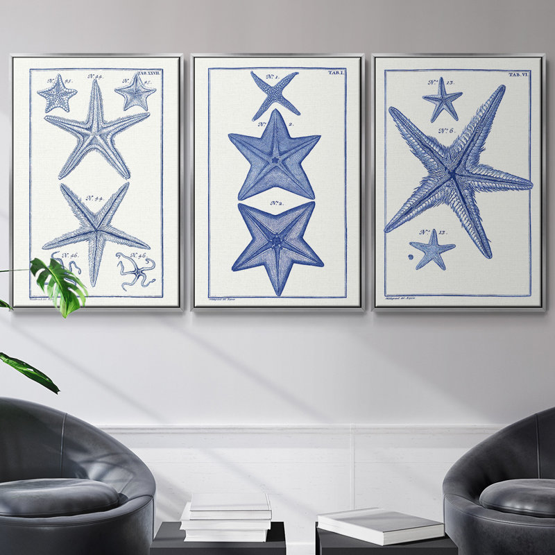 Blue Sea Stars I - ensemble de 3 reproductions de photos sur toile, Argent, H 27 po x l 54 po