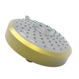 Multi Function Fixed Shower Head