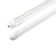 Zell Equivalent Tube Light Dimmable 5000K LED Bulb