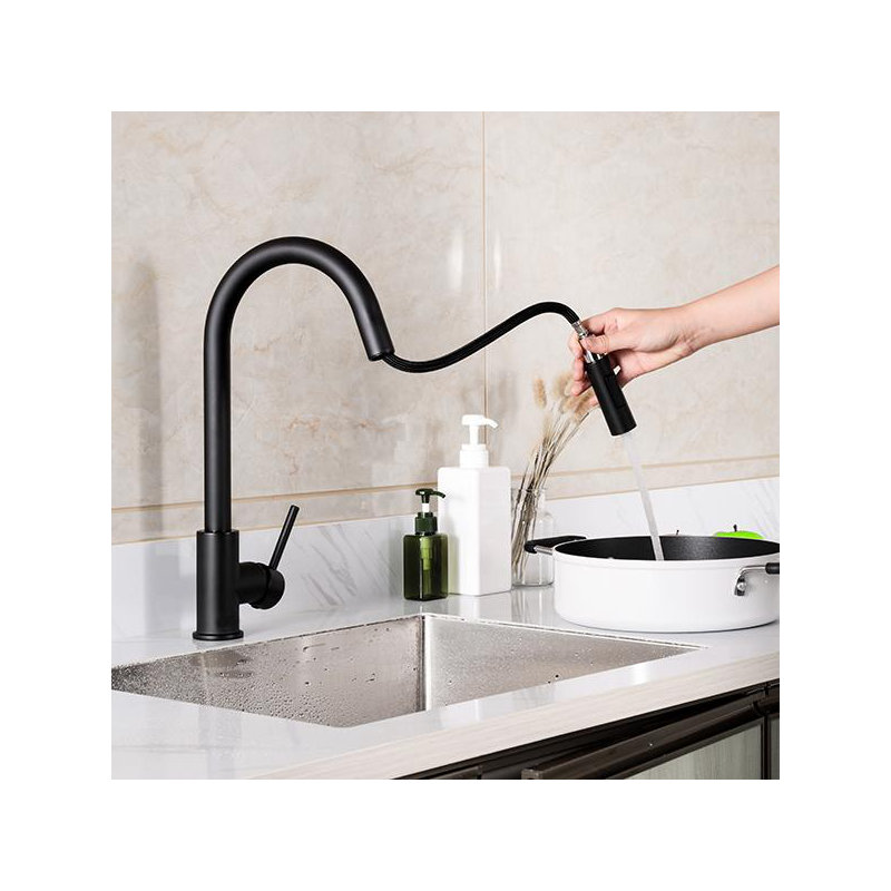 Trova Pull Down Single Handle Kitchen Faucet with Accessories, Brushed Nickel