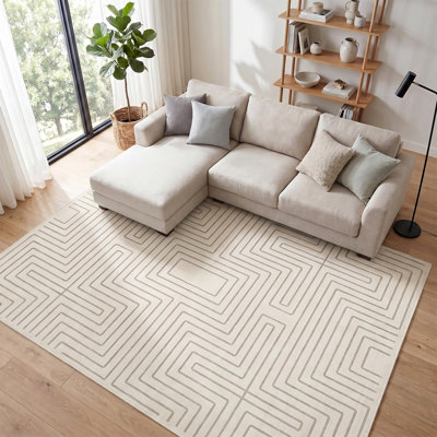 Area Rug