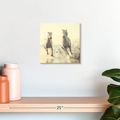 Brampt, chevaux français blancs