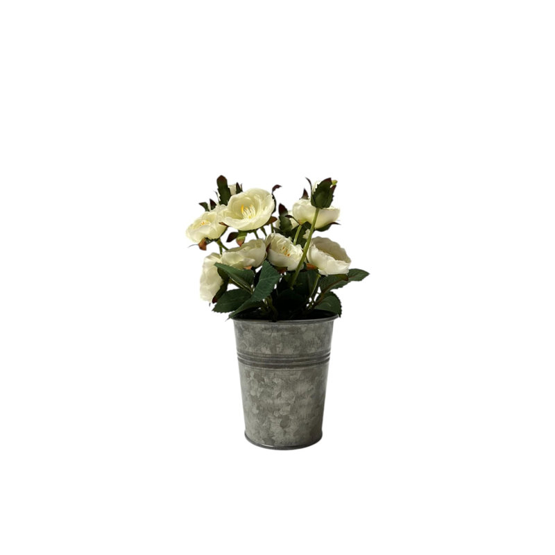 Planter - White Roses