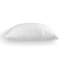 Coussin Potterville-1423106293