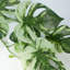 180cm Faux Plant