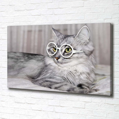 Cat With Glasses - Wrapped Canvas Print