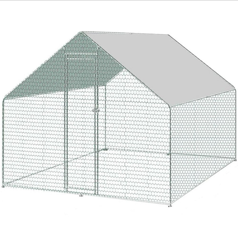 Chicken Run with Wire Mesh