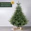 Artificial Christmas Tree-106363852