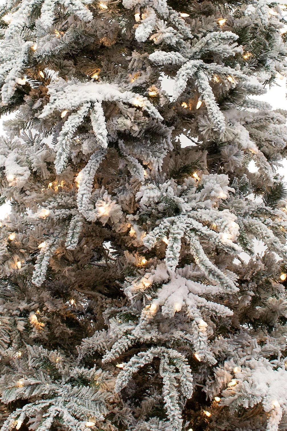 Balsam Frosted 12' Pre-Lit Fir Christmas Tree, 6.5 ft.