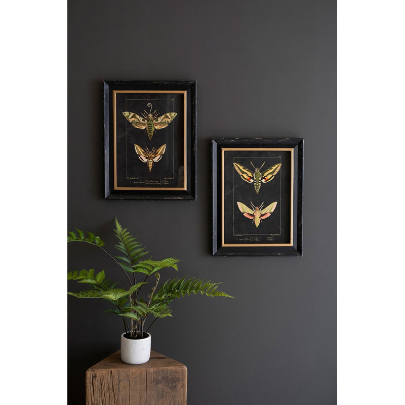  Framed Wall Art, Moth Prints Under Glass 18"H – Black Framed Insect Art, Set of Two