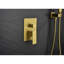 Système de douche mural en or brossé - Tête de douche à fixation à une poignée de pluie de 10 po avec douche à main, tuyau, valve et commande, fabrication, jet d'eau intense, agréable temps, or-117417267