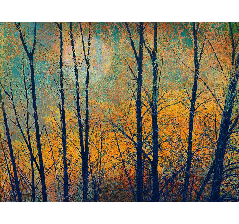 Art sur toile tendue, Winston Porter Vest, Chris Gallery, Meadow Trees II, H 19 po x l 24 po