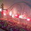 Mandi LED Handmade Paper Hearts String Light-89601928