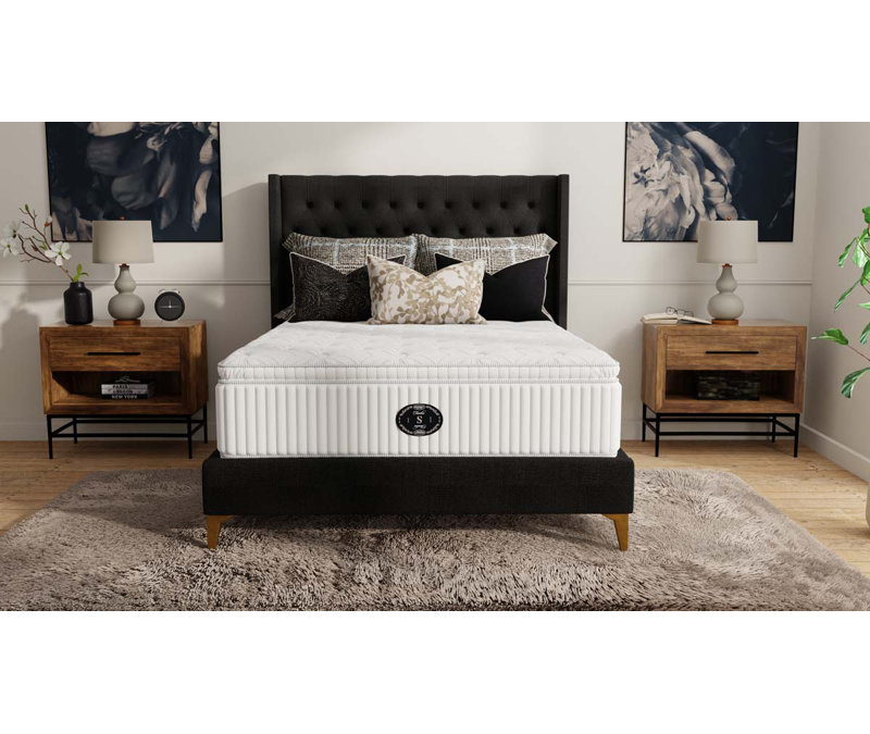 Timeless Snow Day Plush Pillow Top, Queen