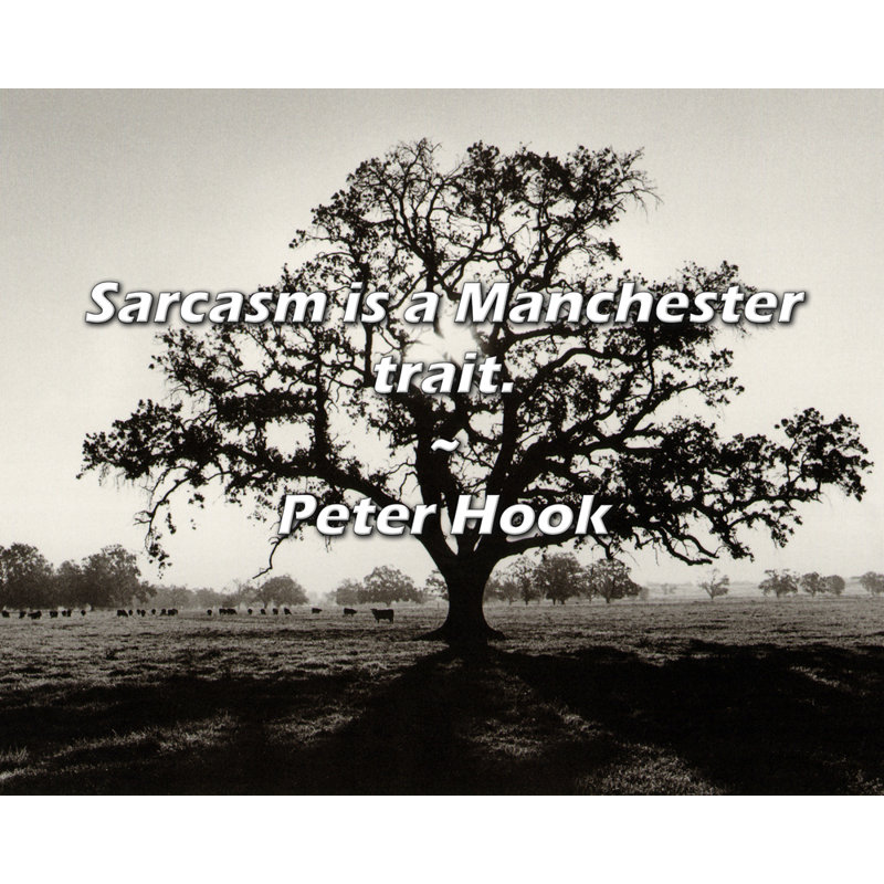 Peter Hook Citation: Le sarcasme est un trait de Manchester., H 20 po x l 24 po