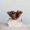 Metal Organic Shaped Planter