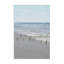  Energetic Beach Birds Canvas Wall Art by Natalie Carpentieri-819575900
