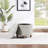 Twomey Storage Ottoman