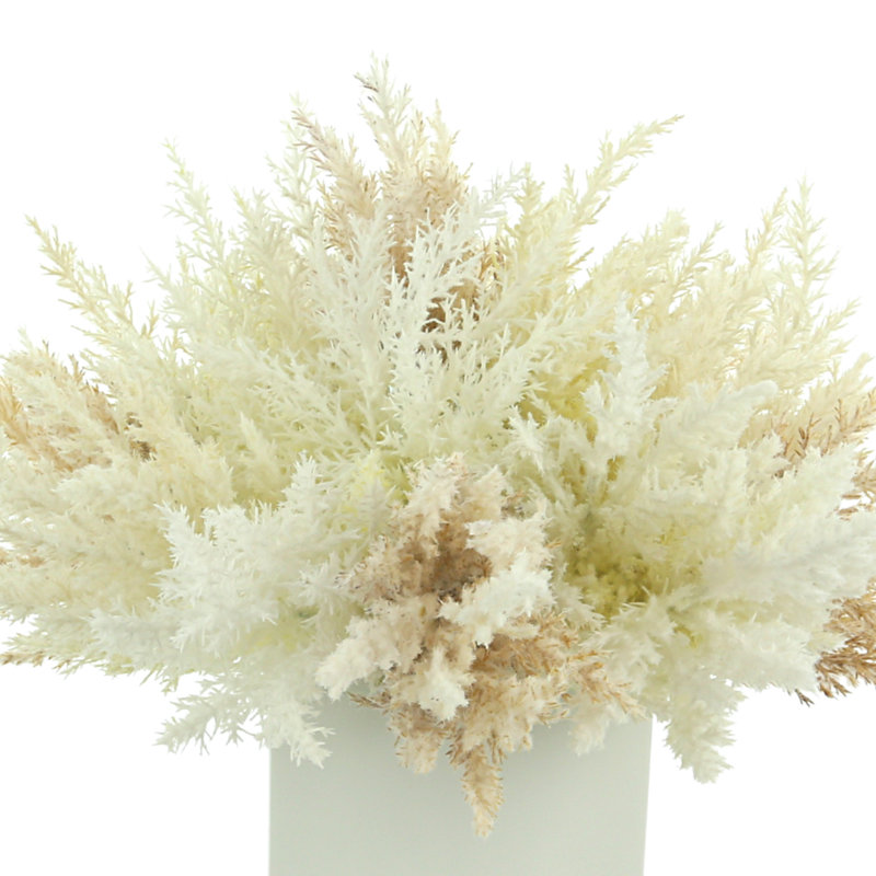 Pampas Arrangement in Pot