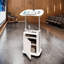 Techni Mobili Sit-To-Stand Rolling Adjustable Laptop Cart With Storage (Not Include Stools)-1992477625
