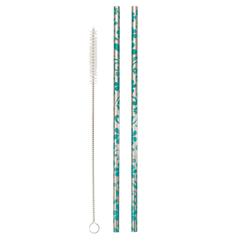 Echo Three Novelty Stainless Steel Reusable Straws
