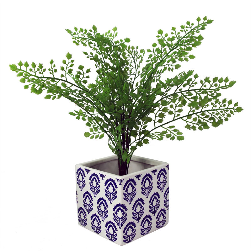 Ceramic Cachepot