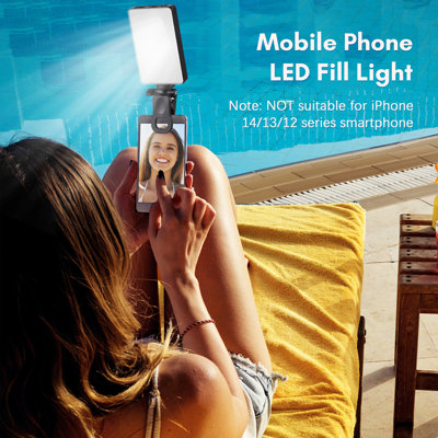 Plug-in Table Picture Light