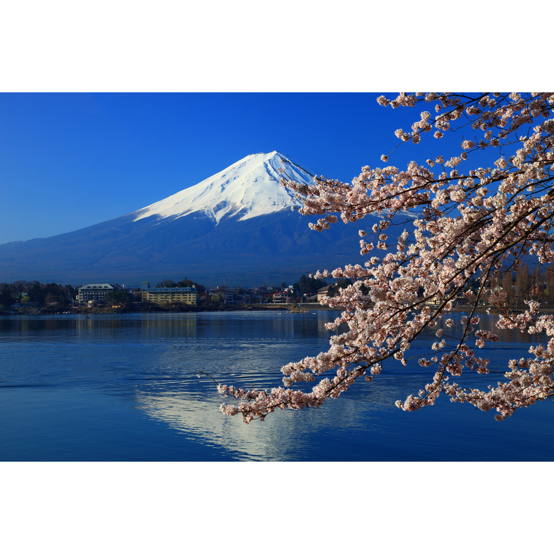 Der Berg Fuji und die Zweige der Kirschblüten am Kawaguchiko-See