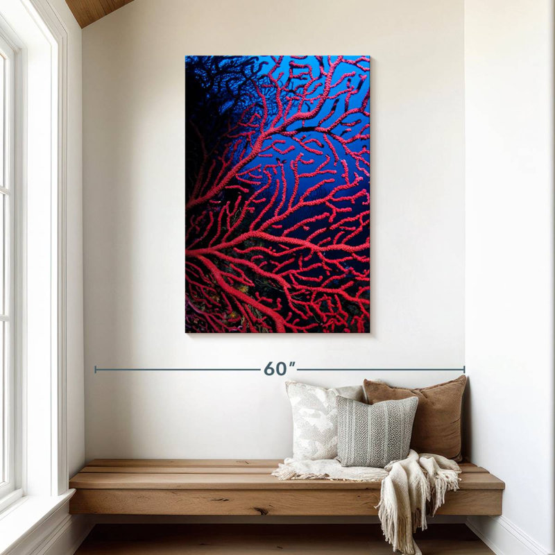 Brampt Violescent Sea Whip, 45" H x 30" W