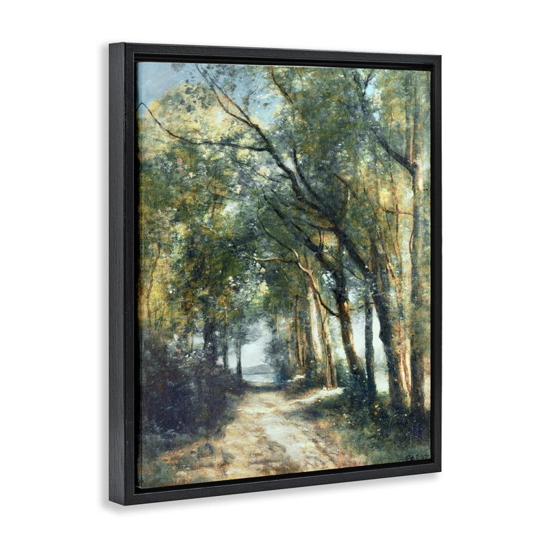 Forest Path Under Tree Canopy, 21" H x 17" W, Jet Black Floater Frame
