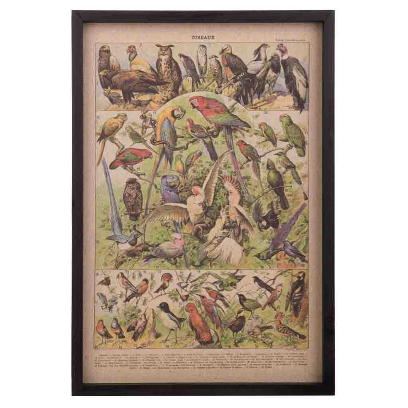 Single Picture Frame Print