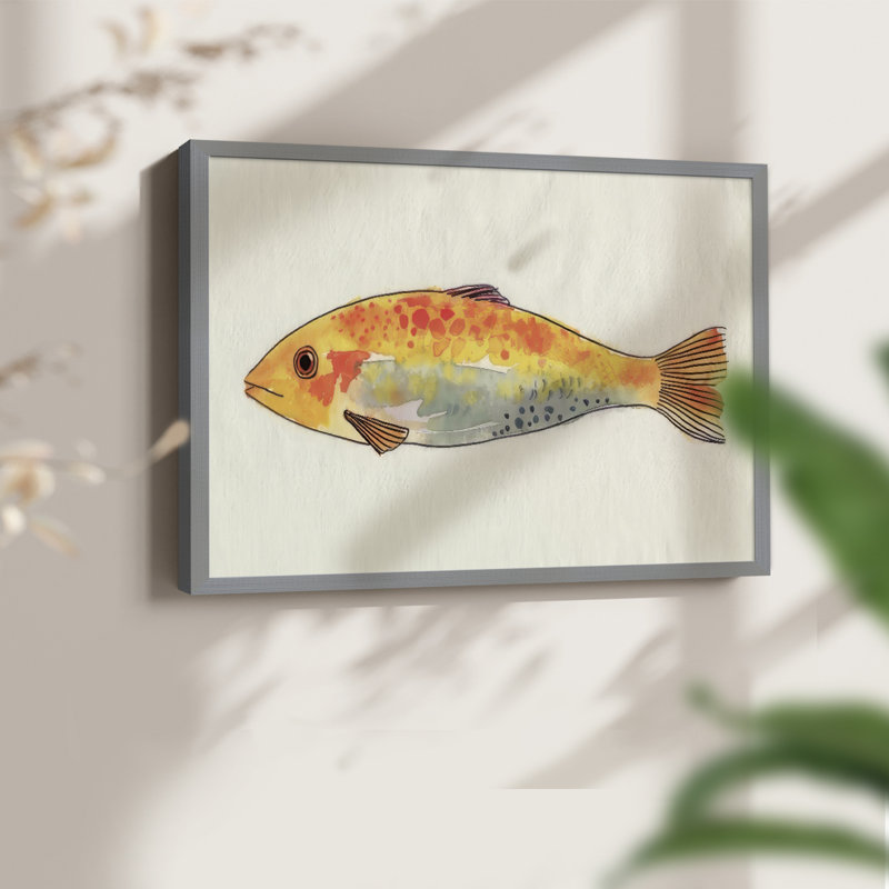 Fanciful Fish II -Framed Print - Restickable, Gris, H 22 po x l 28 po
