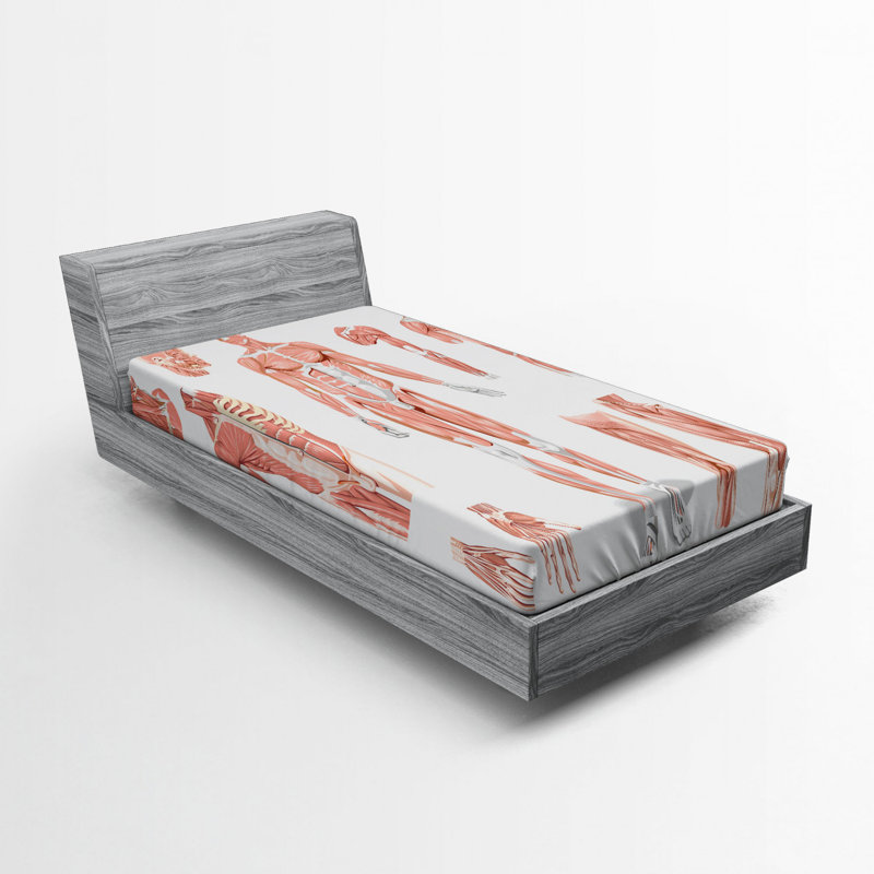 Microfiber Fitted Sheet, Twin XL Fitted Sheet