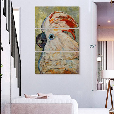 Brampt Moluccan Cockatoo