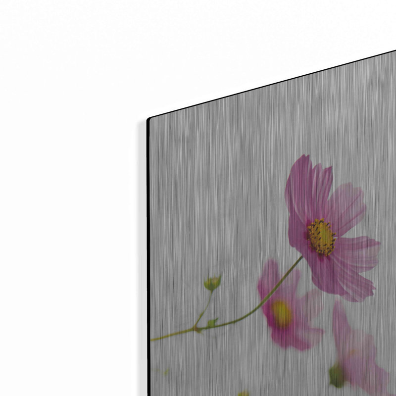 «Pale Cosmos I» par Debra Van Swearingen, H 24 po x l 16 po