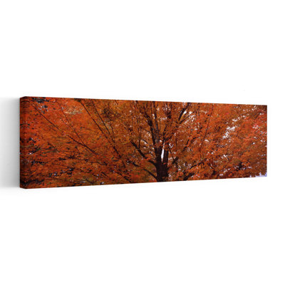 Érable, automne, Vermont, États-Unis, art contemporain de paysage forestier abstrait