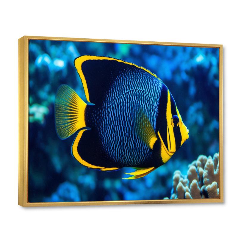 " Finned Fish Wonders II ", 24" H x 32" W x 1" D, Gold Floater Framed