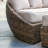 Havana 68.50'' Wide Circle Premium All-Weather Wicker Patio Daybed with Sunbrella® Cushions-98127727
