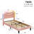 Bed Frames With Lighted Headboard-538059280-538059283