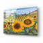 Champs de tournesol-1424438543