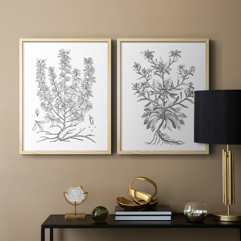Reproduction encadrée V-Premium de B & W Plant - prêt à être accroché - aucun clou requis - aucun clou requis