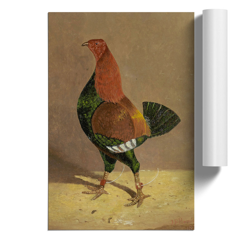 Fighting Cock Vol.1 by John Frederick Herring - No Frame Painting, 42cm H x 30cm W x 0.1cm D